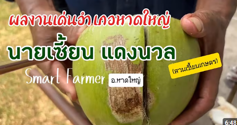 ผลงานเด่นอำเภอหาดใหญ่ ปี 2569-นายเซี้ยน​ แดงนวล​ (Smart​ Farmer)​ อ.หาดใหญ่​