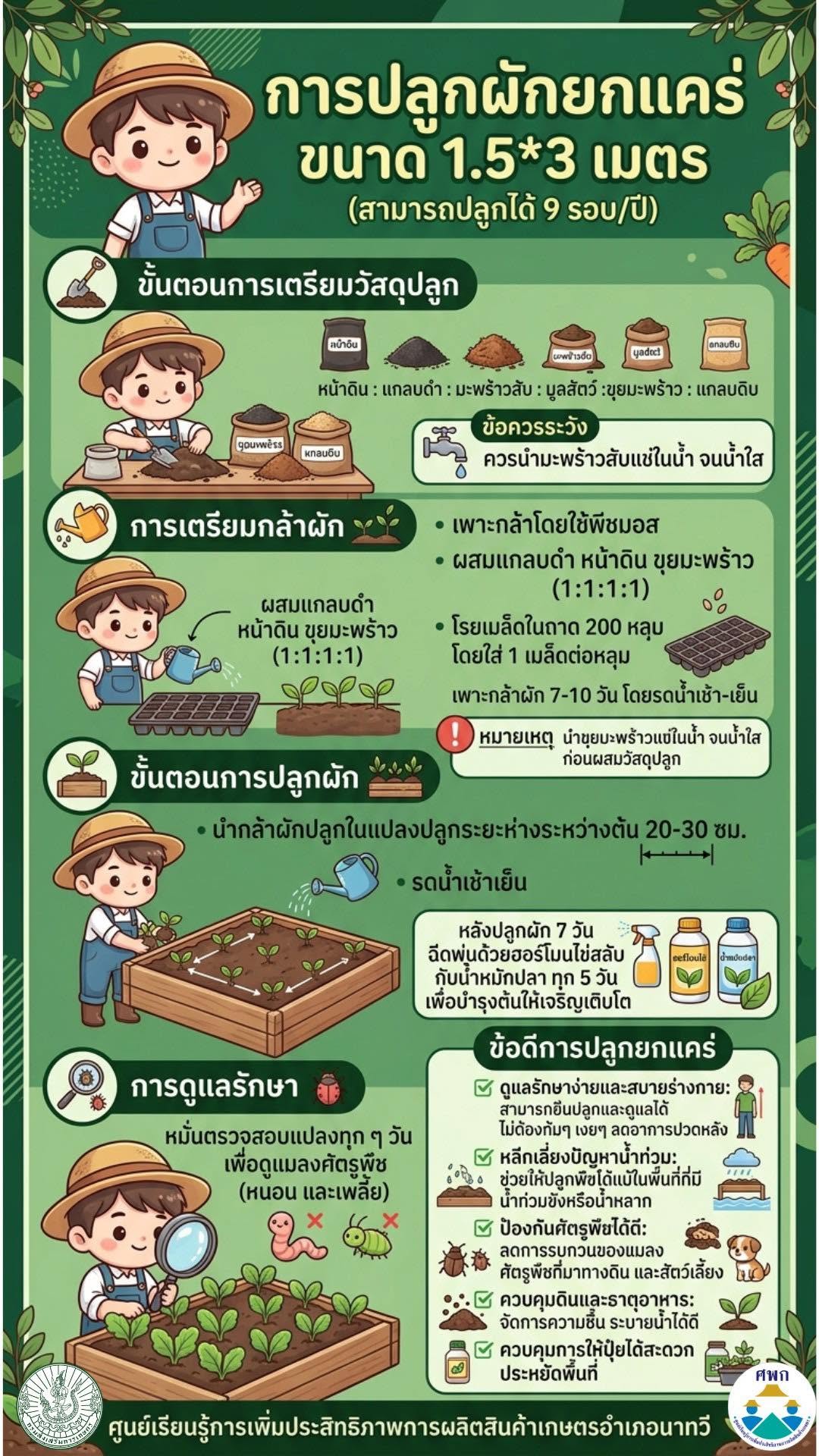 การปลูกผักยกแคร่