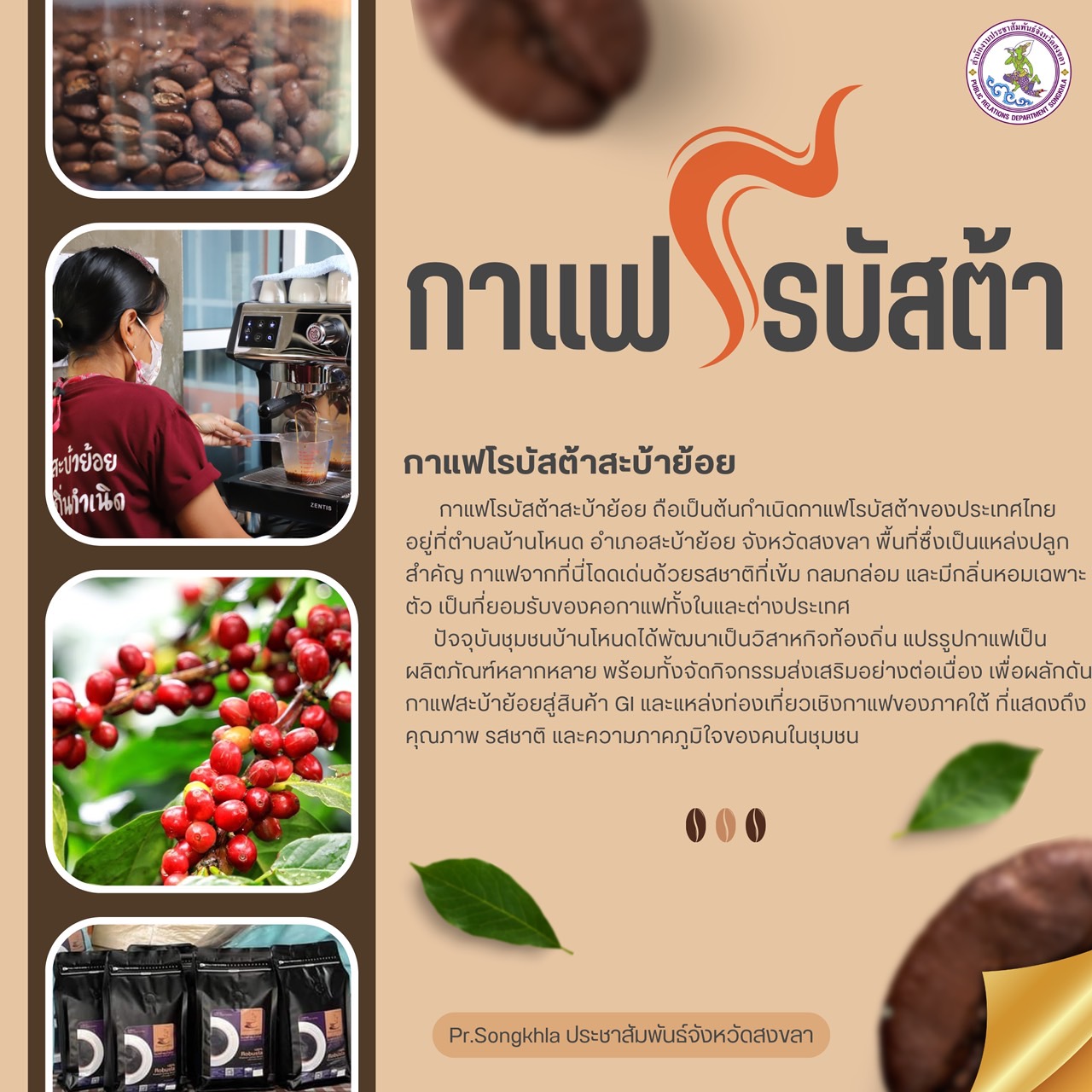 กาแฟโรบัสต้าสะบ้าย้อย ต้นกำเนิดกาแฟไทย แห่งชุมชนพหุวัฒนธรรม
