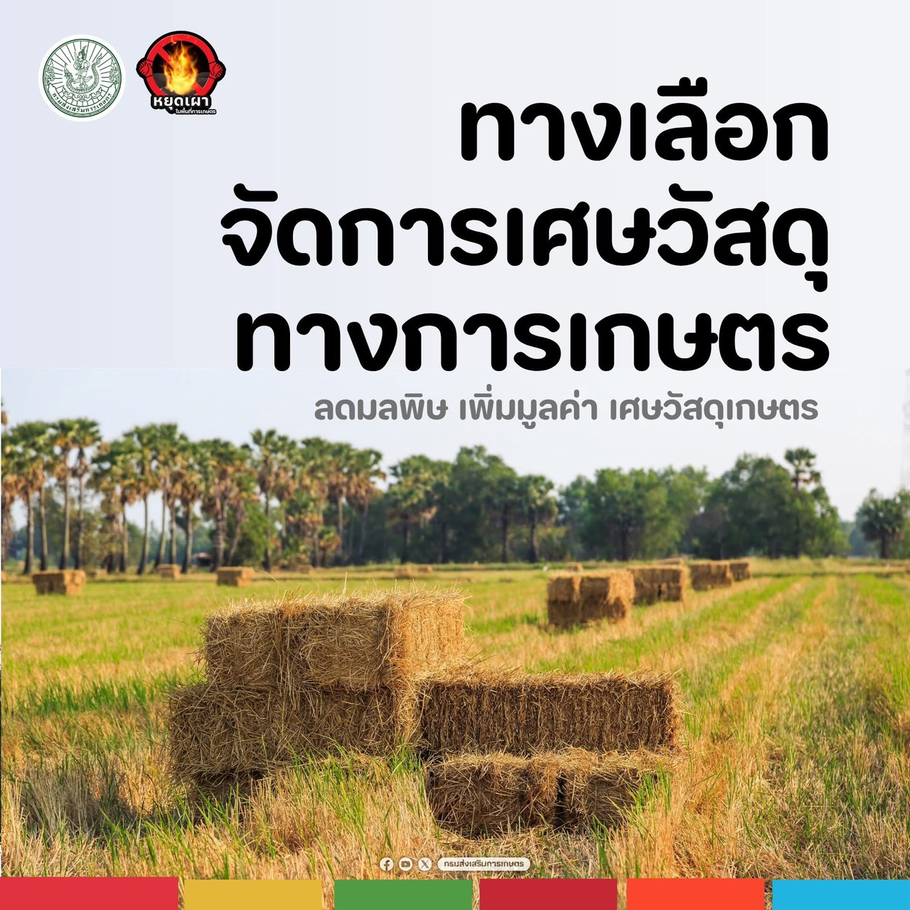 “ทางเลือกมากกว่าเผา”